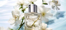 Parfumi za pisarno: diskretna eleganca, ki govori o osebnem slogu