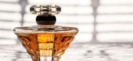 7 parfumov, ki dišijo razkošno in stanejo pod 70 €