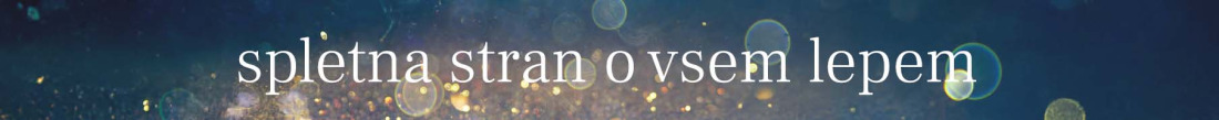 prva stran spletna stran o vsem lepem winter